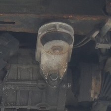 Quattro allrad hinten gebraucht kaufen  Borgentreich