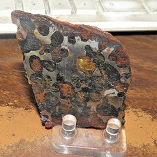 Sericho pallasite meteorite for sale  Malone