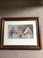 Three kings vintage for sale  CHELTENHAM