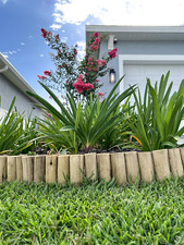 Natural eucalyptus wood for sale  Clinton