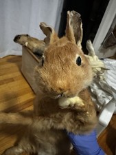 Soft mount rabbit for sale  Mountain View