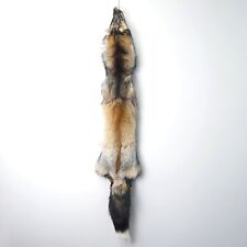 taxidermy fox for sale  American Fork