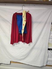Fancy dress noddy for sale  IPSWICH