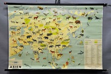 Schulwandkarte tierwelt asien gebraucht kaufen Schulwandkarte tierwelt asien gebraucht kaufen  Berghülen