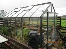 Greenhouse robinsons hercules for sale  KINGTON