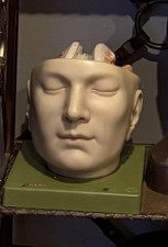 Somso anatomical bs5 for sale Somso anatomical bs5 for sale  Drexel Hill