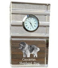 Cane pastore del usato  Spedire a Italy