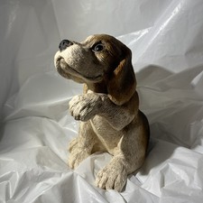 beautiful beagle puppies for sale beautiful beagle puppies for sale Libertyville
