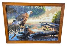Vintage bald eagle for sale  Oregon
