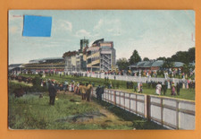 Berkshire ascot race for sale  DAWLISH
