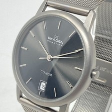 Skagen titanium watch for sale  Saint Charles