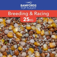 Bamfords breeding racing for sale  LEYLAND