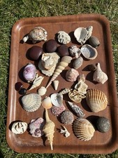 Aquarium fish tank for sale  HUNSTANTON