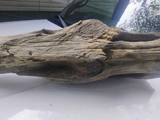 lumber wood posts for sale  Jackhorn