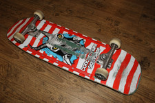 125 inch skateboard gebraucht kaufen  Lüneburg