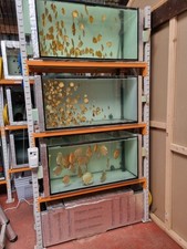 Aquarium rack for sale  WARRINGTON