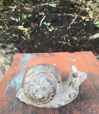 Antique lead snail for sale  KNARESBOROUGH