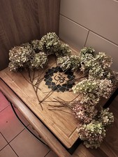 Trockenblumenstrauß hortensie gebraucht kaufen  Neustrelitz