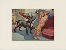 BULDOGUE FRANCÊS ANTIGO 1958 ARTE DE CACHORRO IMPRESSÃO MONTADA Artista WALTER A WEBER comprar usado BULDOGUE FRANCÊS ANTIGO 1958 ARTE DE CACHORRO IMPRESSÃO MONTADA Artista WALTER A WEBER comprar usado  Enviando para Brazil