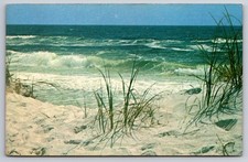 Cartão postal Ocean Coastal View ondas surf dunas de areia EUA não publicado comprar usado  Enviando para Brazil