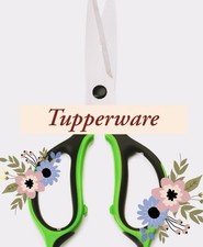 Forbici tupperware straordinar usato  Chiaramonte Gulfi