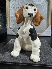 Kay finch dachshund for sale  Norwich