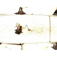 Compressore per suzuki usato  Bedizzole