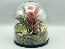 Terrarium faux succulents for sale  Loganville