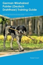 German wirehaired pointer for sale  Aurora