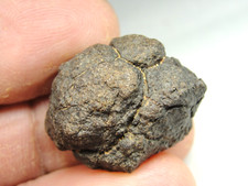 Meteorite 7704 12.00g for sale  Hebron