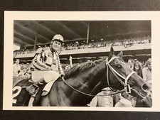 Secretariat photo horse for sale  Hometown