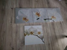 Bilder leinwand rchideen gebraucht kaufen  Salzgitter