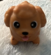 Cute chubby puppies for sale  Aurora