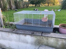 gerbil home for sale gerbil home for sale  ST. HELENS