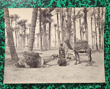 Photo egypt camel d'occasion  Expédié en Belgium