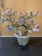 large bonsai tree for sale  WESTGATE-ON-SEA