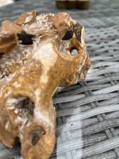 Pre history flint for sale  CLACTON-ON-SEA
