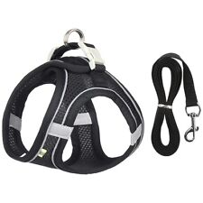 Hundegeschirr leine set gebraucht kaufen  Wetzlar