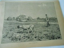 1890 gravure chasse d'occasion  La Verpillière