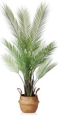 Kazeila artificial palm for sale  STEVENAGE