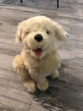 Joy golden retriever for sale  Cochranville