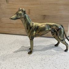 greyhound dog for sale greyhound dog for sale LEICESTER