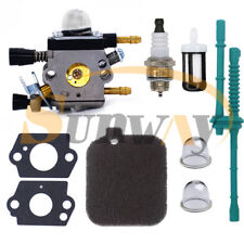 Carburateur kit tuyau d'occasion  Expédié en France
