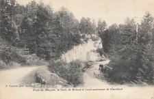 Meyriat forest 93350 d'occasion  Expédié en Belgium