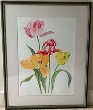 Tulips botanical study for sale  REIGATE