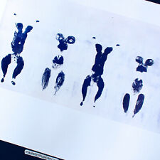 Beautiful yves klein for sale  Minneapolis