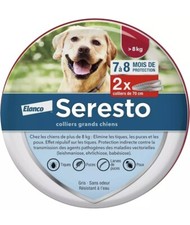 Protect grand chiens d'occasion  France
