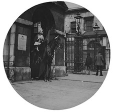 Photo london horse for sale  HAYLE