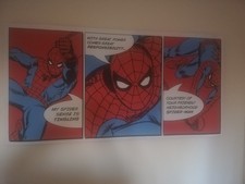 Spider man 50x100x2cm for sale  CHESTERFIELD