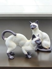 siamese cats 2 for sale siamese cats 2 for sale Lexington